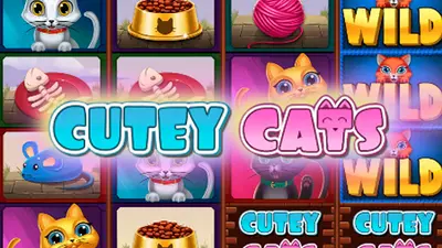 cutey cats